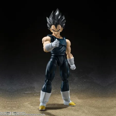 <B>VEGETA -SUPERHERO-</B><BR>SH FIGUARTS